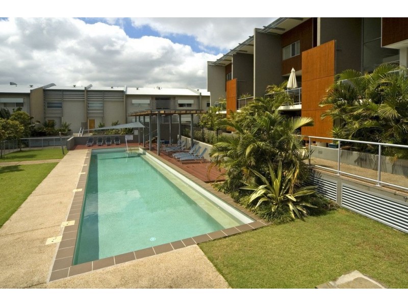 57/21 Love Street, Bulimba QLD 4171