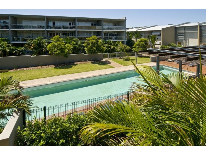 57/21 Love Street, Bulimba QLD 4171