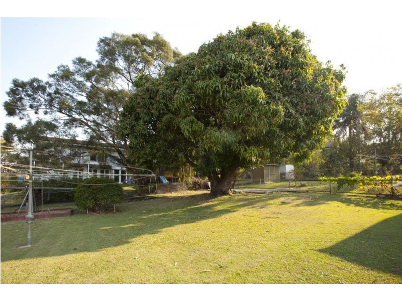 19 Aloomba Street, Balmoral QLD 4171