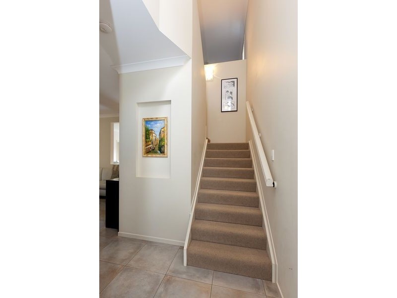 62 Grenade Street, Cannon Hill QLD 4170