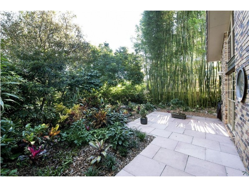 33 Kuranda Street, Balmoral QLD 4171