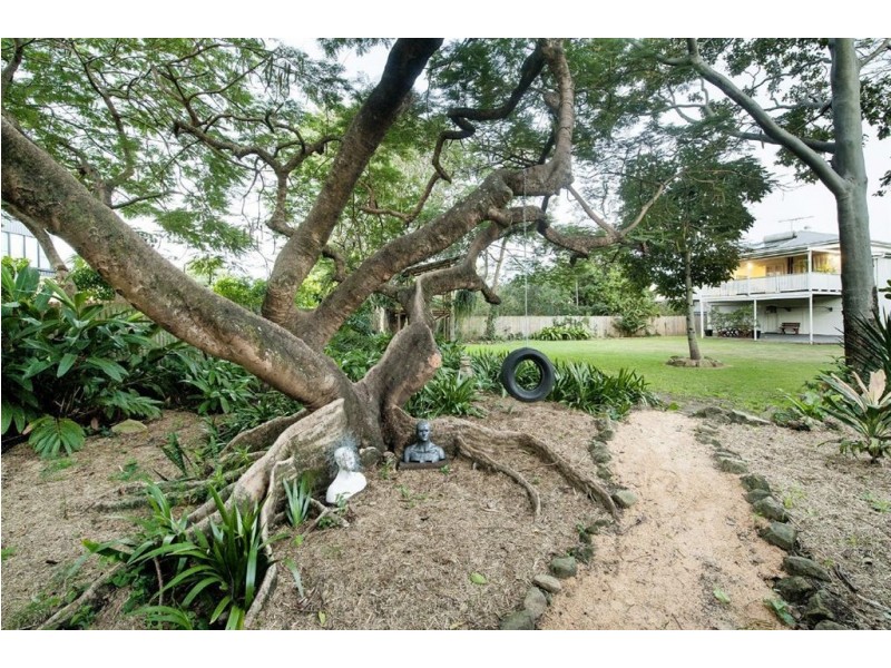 29 Katoomba Avenue, Hawthorne QLD 4171