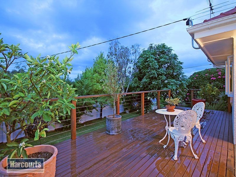 19 Sapphire Street, Holland Park QLD 4121