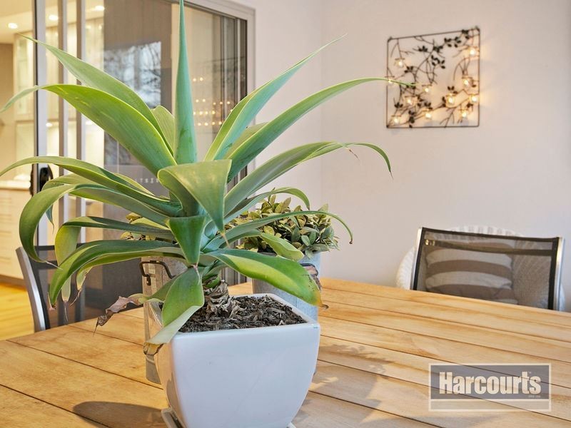 4/24 Rogoona Street, Morningside QLD 4170