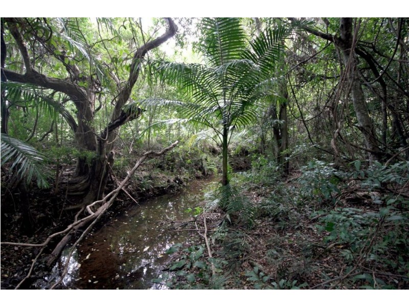 Lot 1 Dagun Road, Dagun QLD 4570