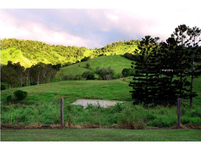 65 Robinson Road, Calico Creek QLD 4570