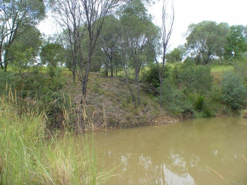 0 Curry Road, The Palms QLD 4570