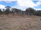 Lot 405 Wide Bay Highway, Kilkivan QLD 4600
