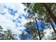 86 Lorikeet Drive, Tamaree QLD 4570