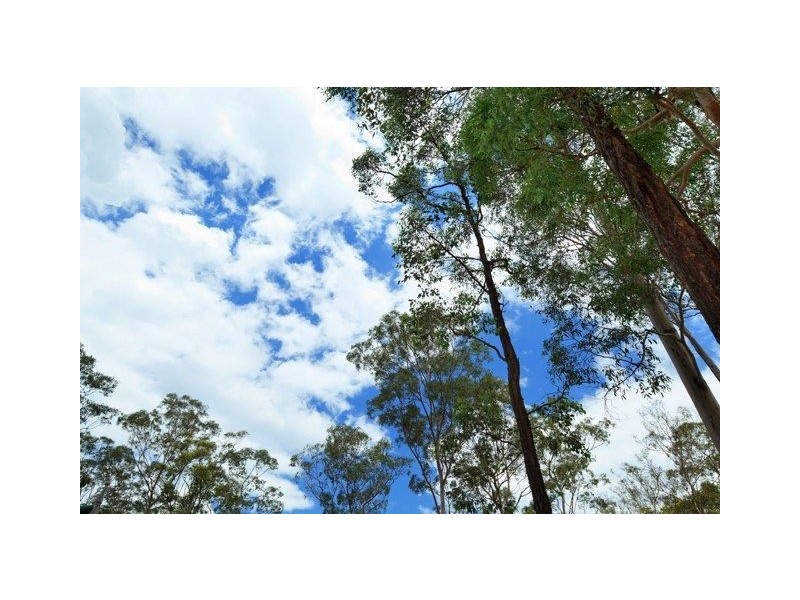 86 Lorikeet Drive, Tamaree QLD 4570