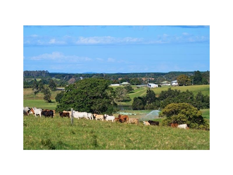 5 McCarthy Road, Kia Ora QLD 4570