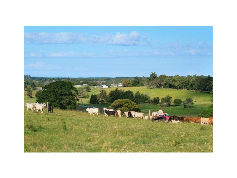 5 McCarthy Road, Kia Ora QLD 4570