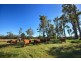 1295 Noosa Road, Tandur QLD 4570