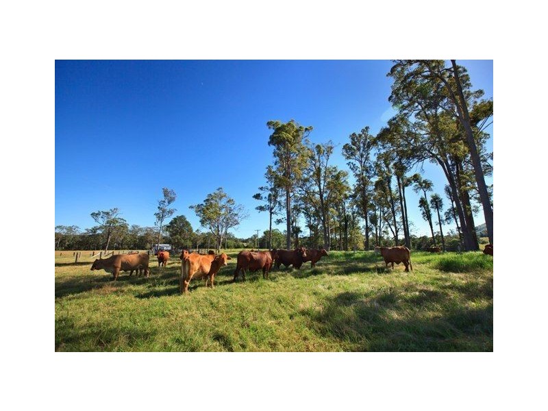 1295 Noosa Road, Tandur QLD 4570