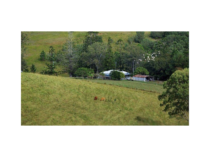 1165 Kin Kin Road, Wolvi QLD 4570