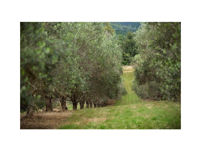 52 Harch Road, Lower Wonga QLD 4570