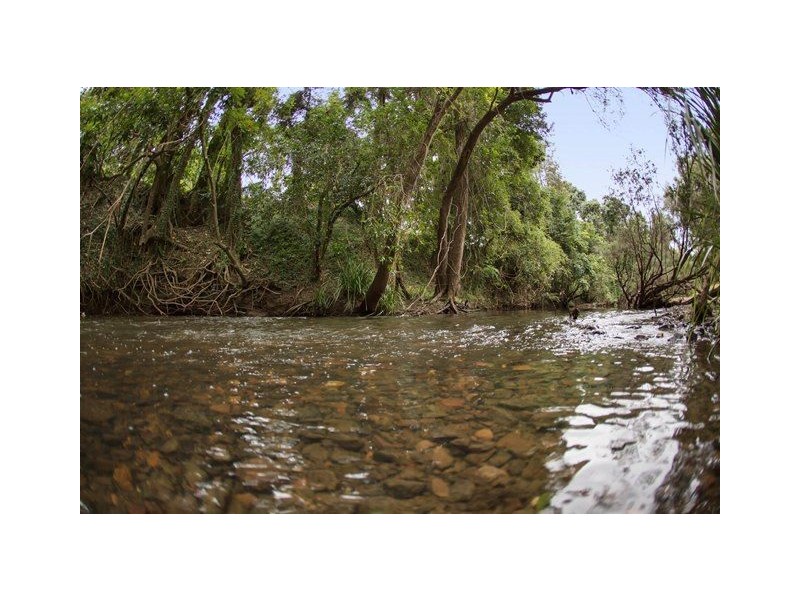 52 Harch Road, Lower Wonga QLD 4570