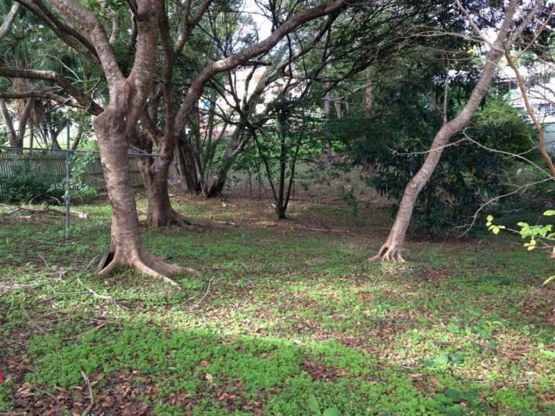 12 Carrington Ave, Gympie QLD 4570