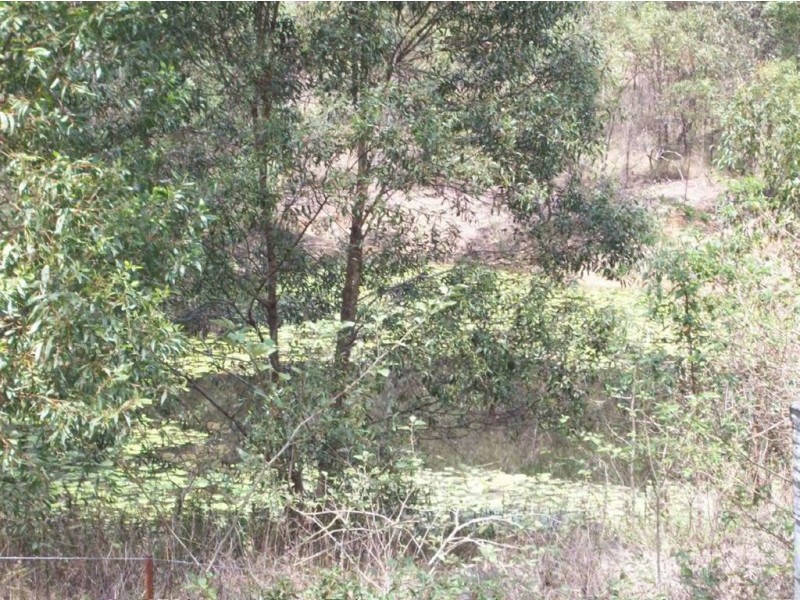 34 Lynne Drive, Curra QLD 4570