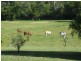 50 Aural Vale Rd, North Deep Creek QLD 4570