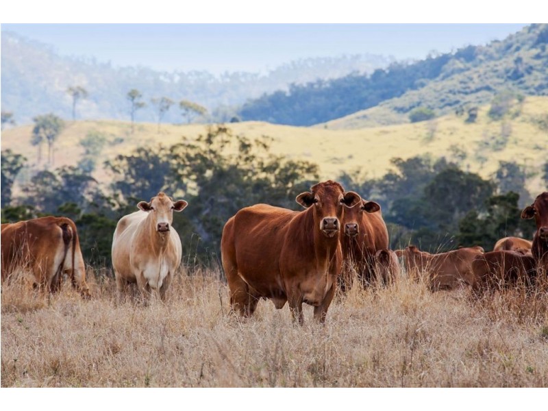 2378 Gympie Woolooga Road, Widgee QLD 4570