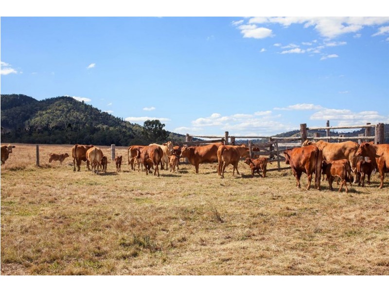 2378 Gympie Woolooga Road, Widgee QLD 4570