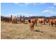 2378 Gympie Woolooga Road, Widgee QLD 4570