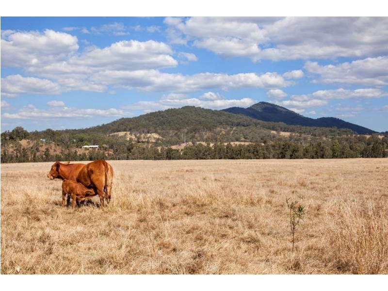 2378 Gympie Woolooga Road, Widgee QLD 4570