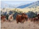 30 Stegman Road, Widgee QLD 4570