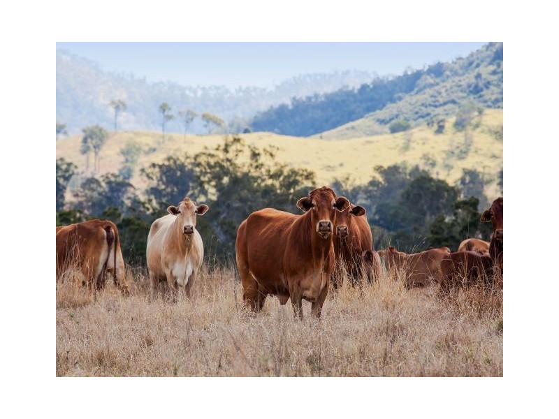30 Stegman Road, Widgee QLD 4570