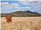 30 Stegman Road, Widgee QLD 4570