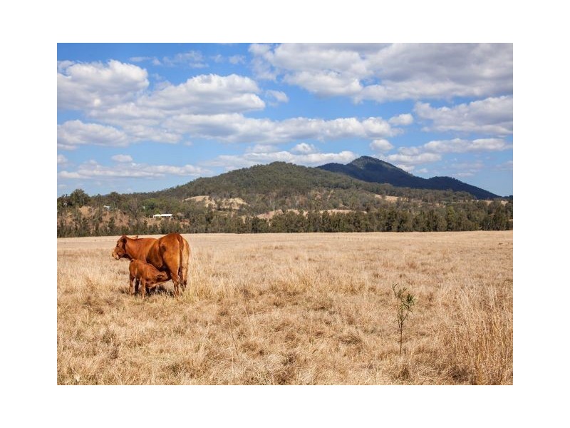 30 Stegman Road, Widgee QLD 4570