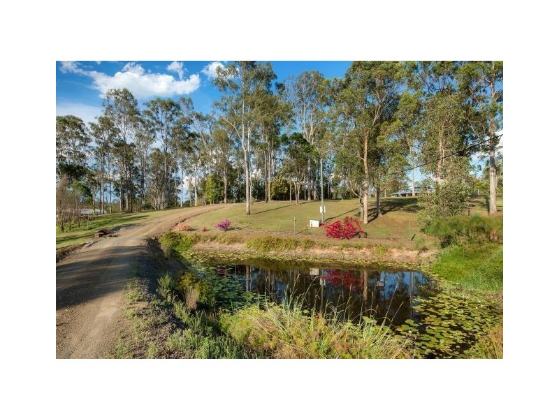 19 Stacy Lane, The Dawn QLD 4570