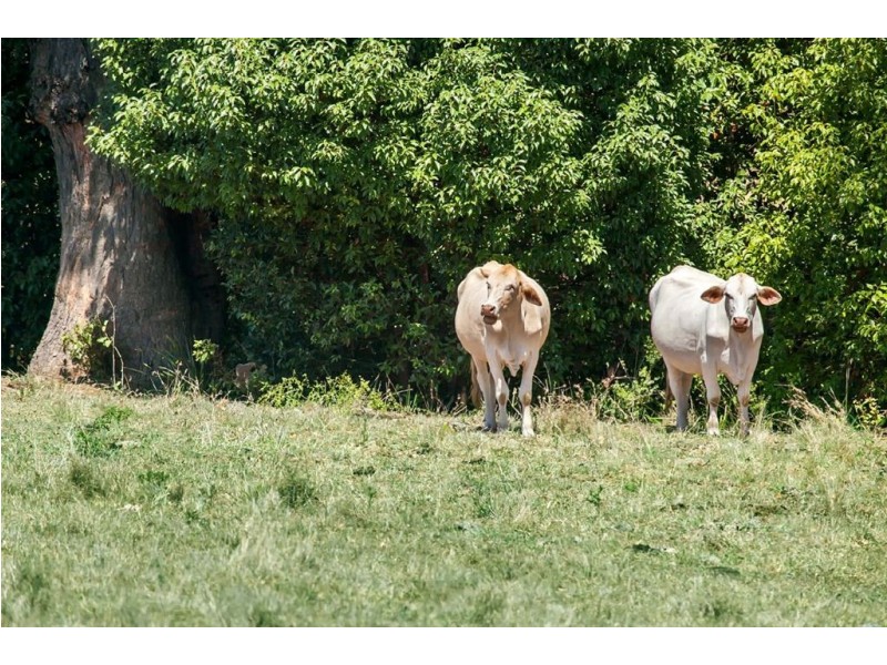 500 Old Goomboorian Road, Gympie QLD 4570