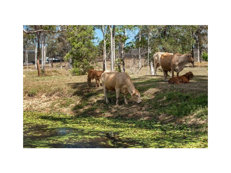 0 Pederson Road, Southside QLD 4570