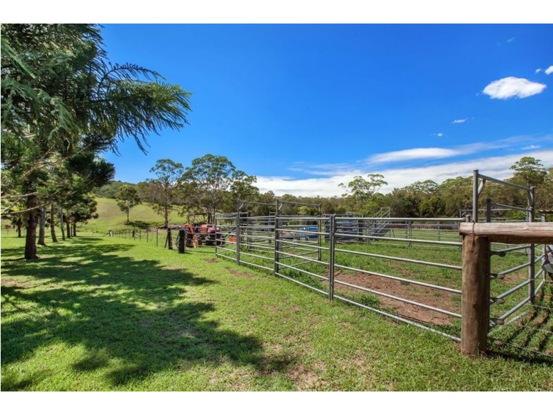 32 Window Road, Canina QLD 4570
