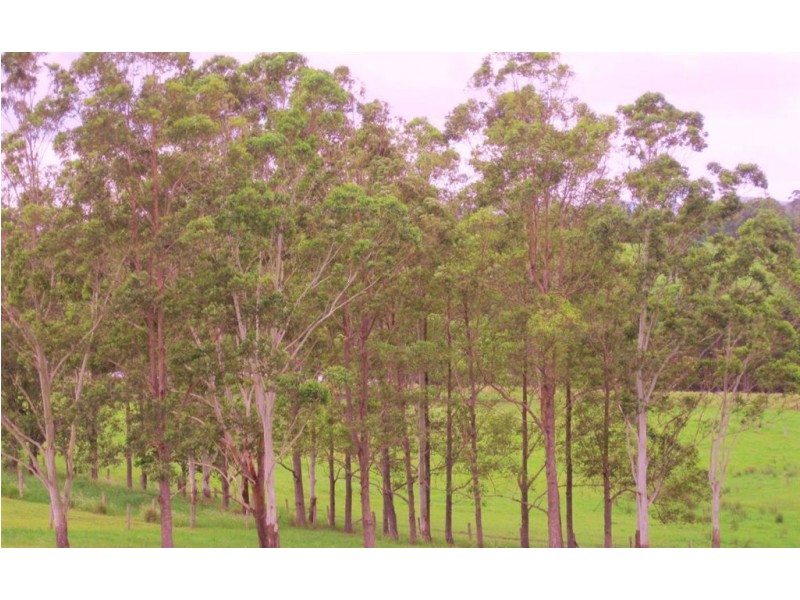 295 Randwick Road, East Deep Creek QLD 4570