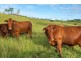 124 Bridge Creek Road, Greens Creek QLD 4570