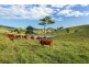 124 Bridge Creek Road, Greens Creek QLD 4570