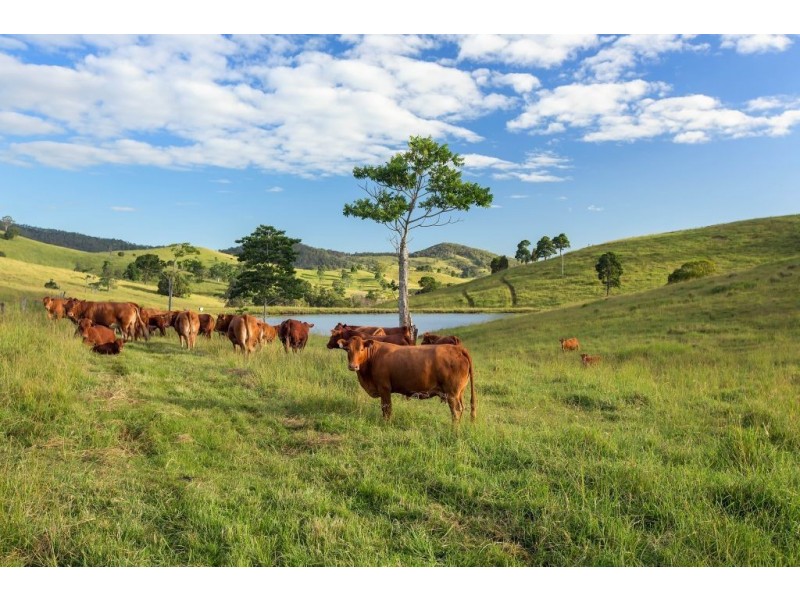 124 Bridge Creek Road, Greens Creek QLD 4570
