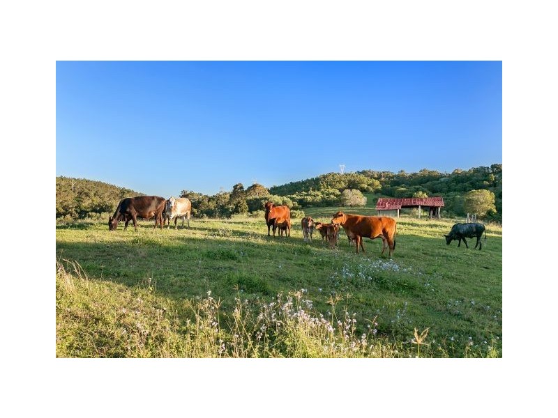 48 Summerville Road, Kandanga QLD 4570