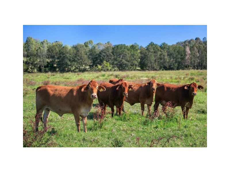 80 Traveston Crossing Road, Kybong QLD 4570