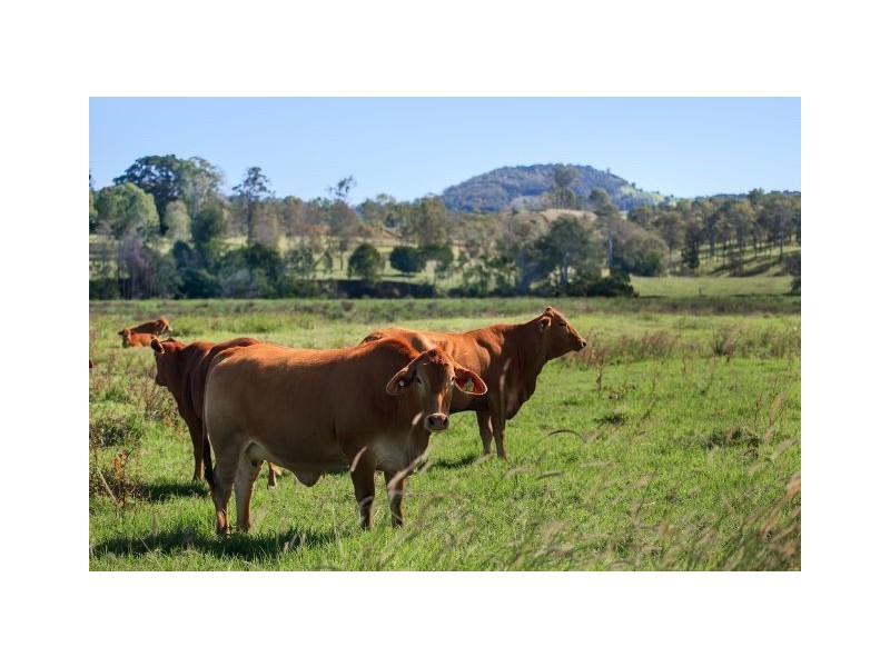 80 Traveston Crossing Road, Kybong QLD 4570