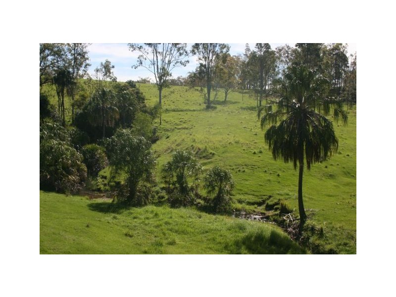 559 Rocks Road, Pie Creek QLD 4570