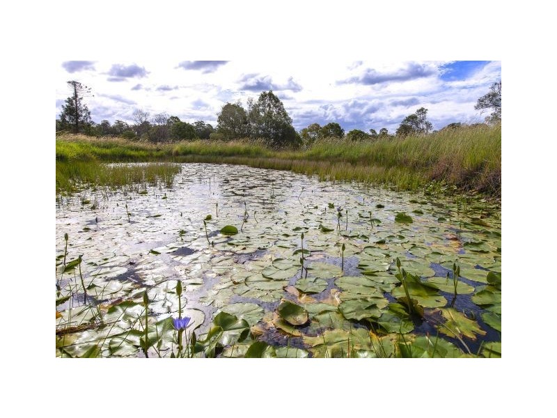 42 Jubilee Road, Carters Ridge QLD 4563