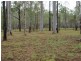 23 Green Drive, Gunalda QLD 4570