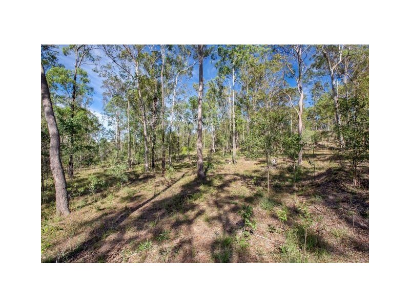 426 Curra Estate Road, Curra QLD 4570