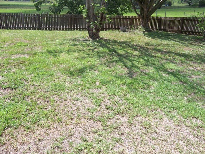 253 Gap Road, Cedar Pocket QLD 4570
