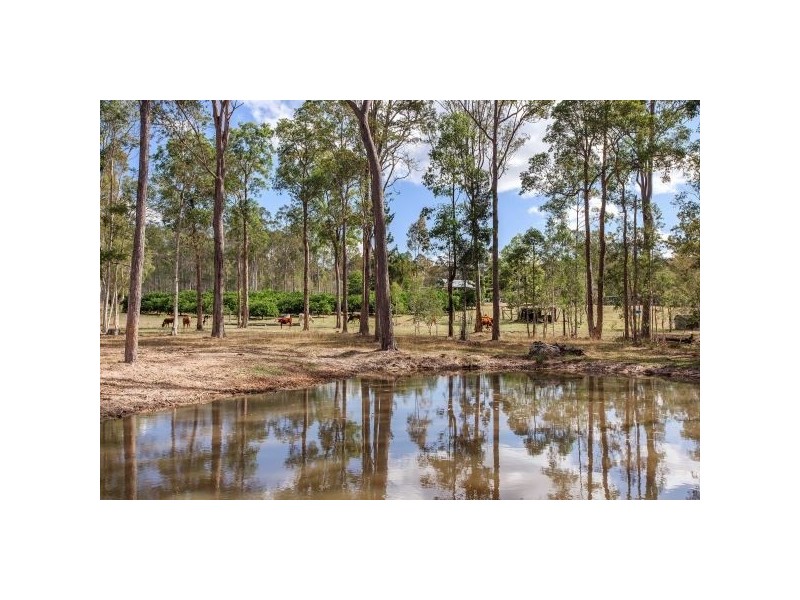 65 Stephans Road, Gunalda QLD 4570