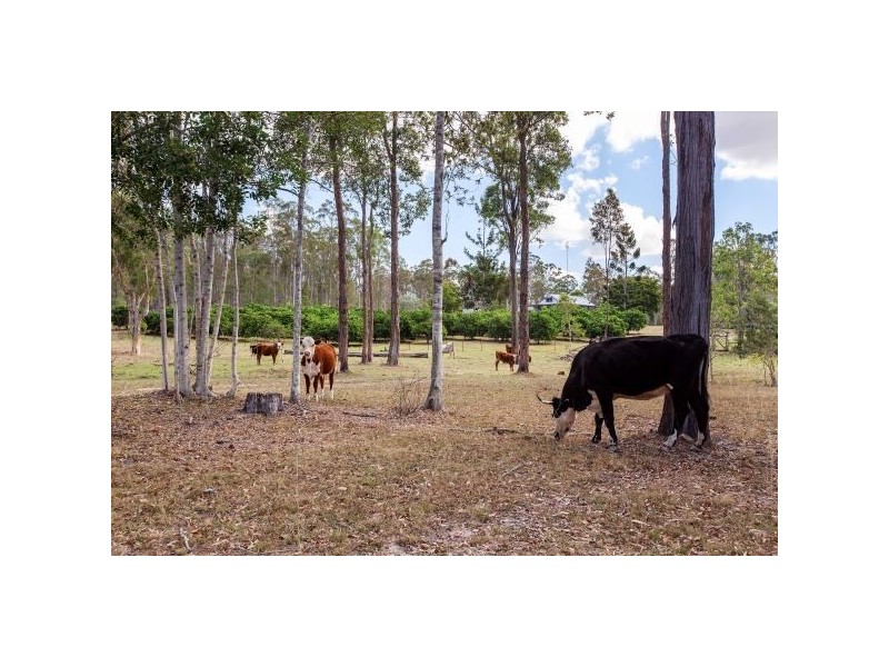 65 Stephans Road, Gunalda QLD 4570